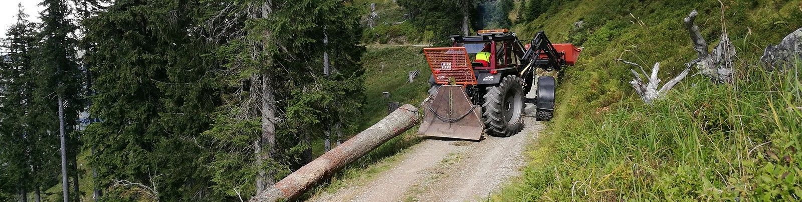 Hausmeisterservice Diabild 4