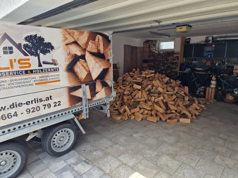 Brennholz einkaufen