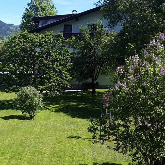 Garten mit gemähtem Rasen